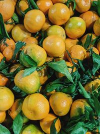 Full frame shot of fruits in market