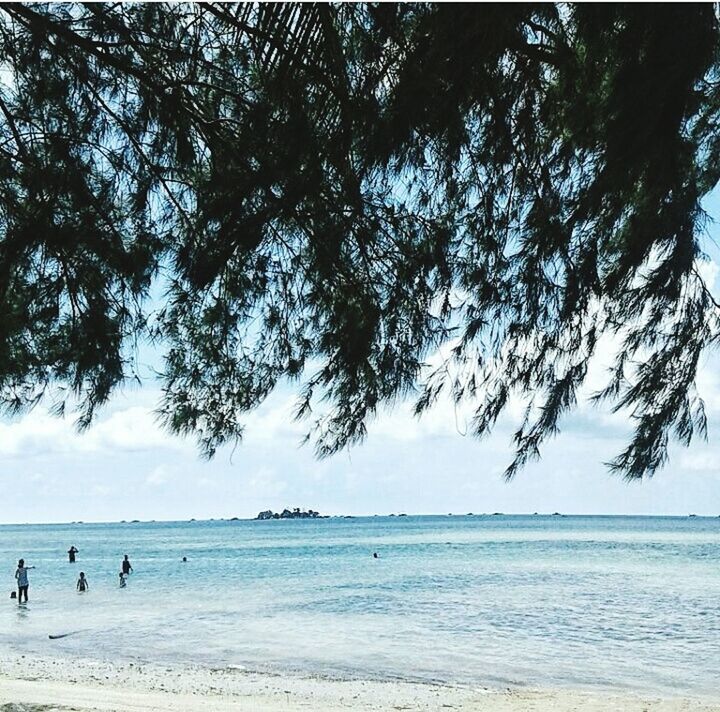 SCENIC VIEW OF SEA AGAINST TREES