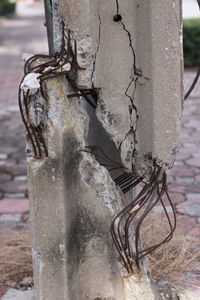 Close-up of old wooden post on tree trunk