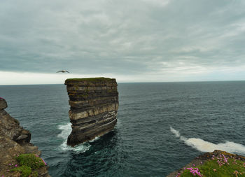 Seagull on rock by sea against sky