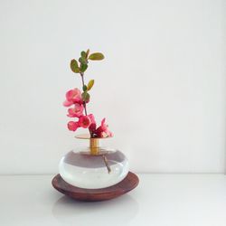 Close-up of small flower on table against white background
