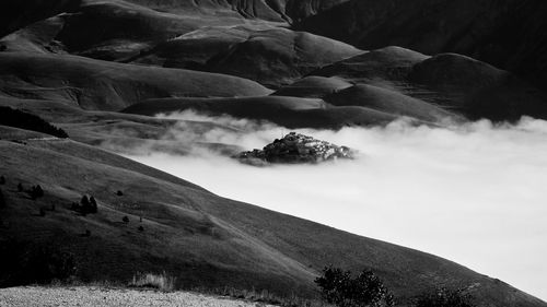 Scenic view of landscape in fog