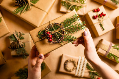 Midsection of woman holding christmas plant in box