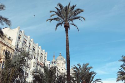 Low angle view of palm trees against blue sky