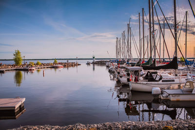 Sailboats moored in harbor