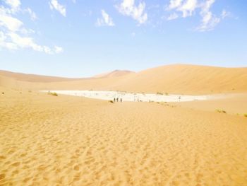 View of sand dunes in desert