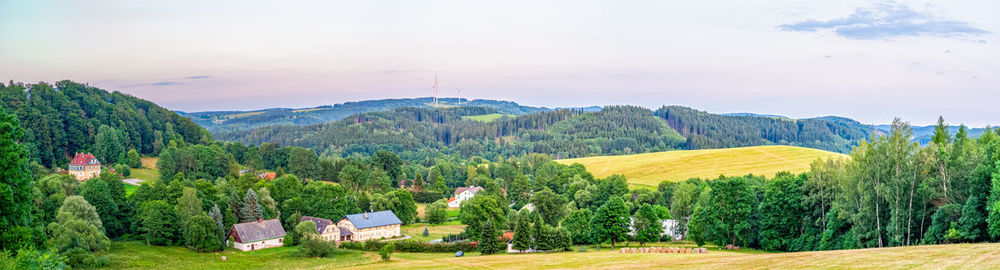 Panoramic shot of trees on field against sky