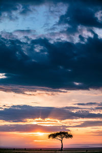 Silhouette woman standing by tree against sky during sunset