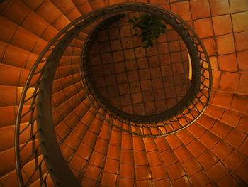 Directly above shot of spiral staircase