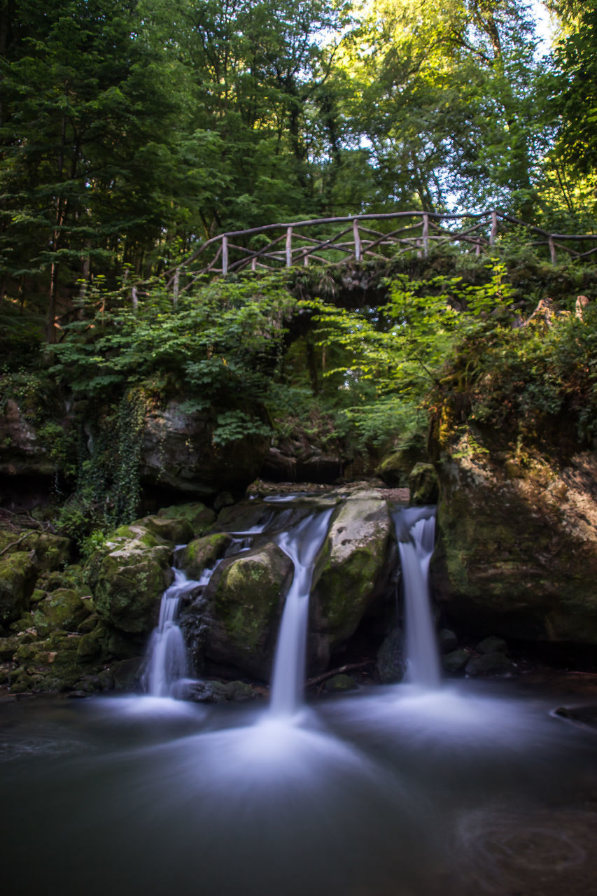 SCENIC VIEW OF WATERFALL