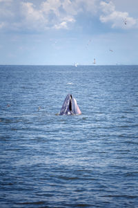 View of swimming in sea against sky