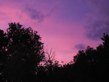 Low angle view of silhouette trees against sky at sunset