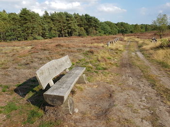 Empty road amidst trees on field against sky