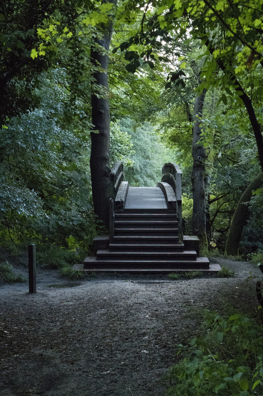 LOW ANGLE VIEW OF STEPS LEADING TOWARDS FOREST