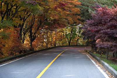 Empty road amidst trees during autumn 