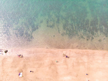 Aerial view of beach