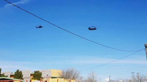 Low angle view of birds flying against clear blue sky