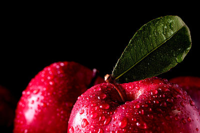 Close-up of wet red berries against black background
