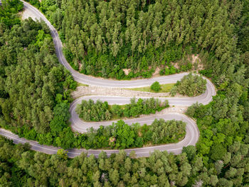 Winding road through the forest, from high mountain pass, in summer time. aerial view by drone