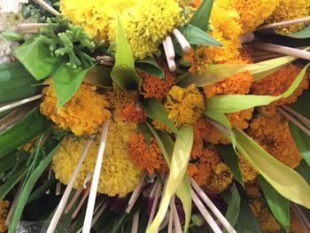 Close-up of yellow flowers