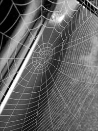 Close-up of spider web