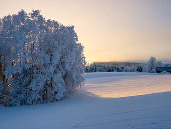 Winter in the countryside with hoarfrost in the trees