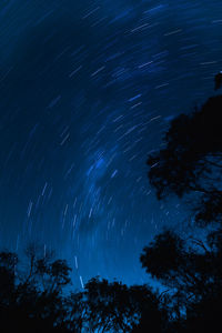 Low angle view of silhouette trees against star field at night