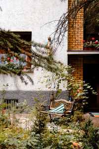 Plants and trees in front of building