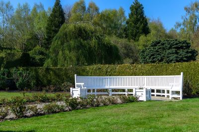 A long wooden bench in a garden in spring