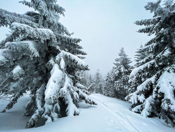 Rear view of person skiing on snow covered landscape
