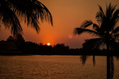 Silhouette palm trees by swimming pool against sky during sunset