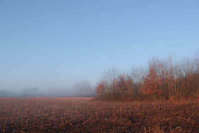 Scenic view of field against clear sky