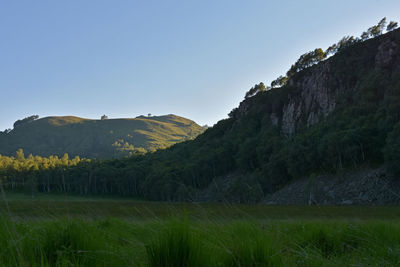 Scenic view of landscape against clear sky