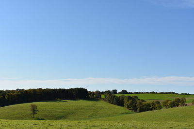 Scenic view of field against clear blue sky