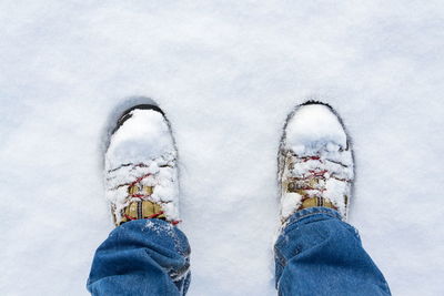 Low section of person standing on snow covered land