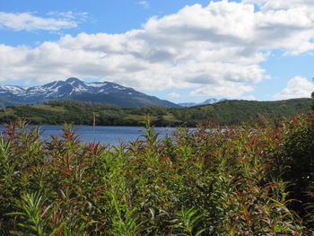 Scenic view of lake and mountains against sky