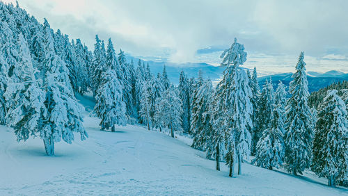 Scenic view of snow covered land against sky