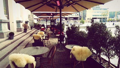 Chairs and trees in city