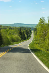 Road amidst green landscape against sky