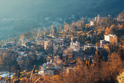 High angle view of townscape and trees in city