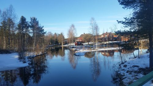 Reflection of trees in calm lake