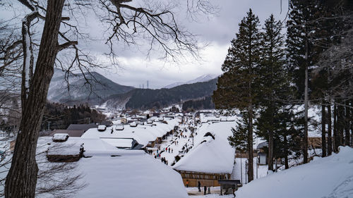 snow