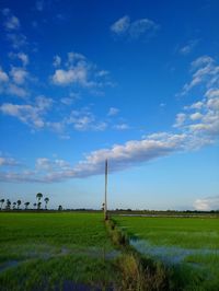 Scenic view of field against blue sky