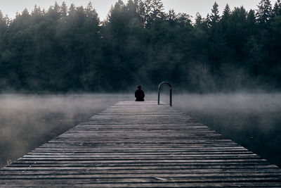 Rear view of man on walkway amidst trees