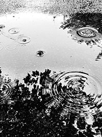 Close-up of water drops on glass