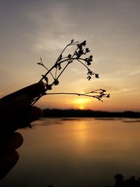 Silhouette hand against sky during sunset