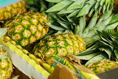 Close-up of pineapple