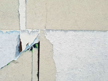 wall - building feature