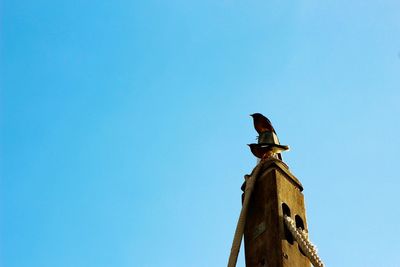 Low angle view of clear blue sky