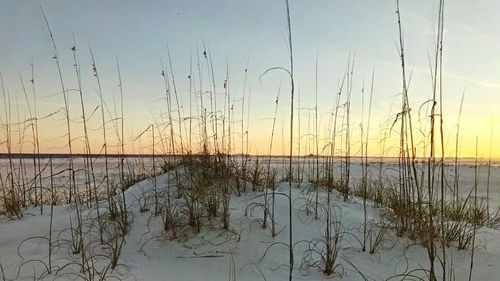 Scenic view of sea at sunset